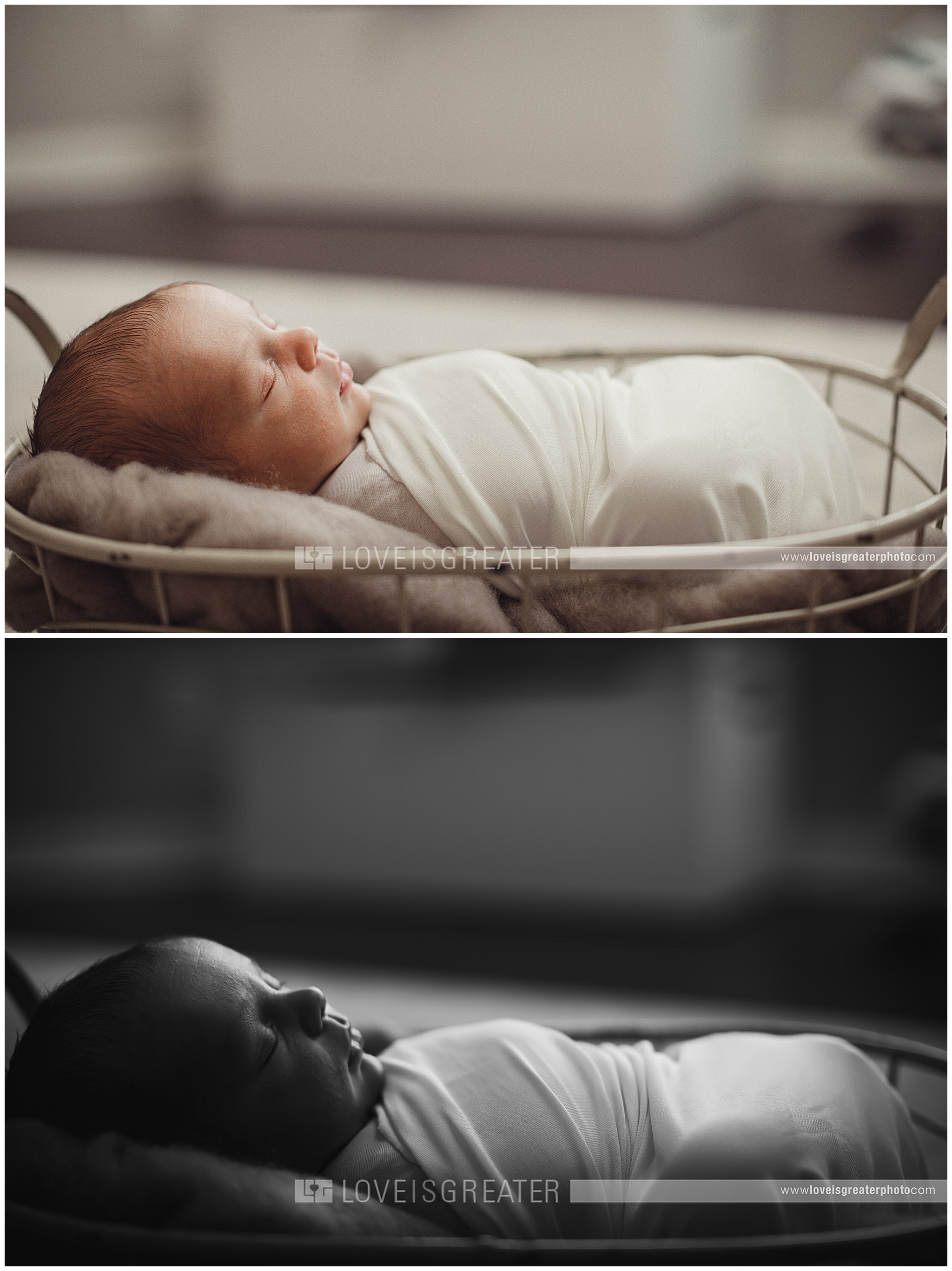 toledo-newborn-photographer_0011
